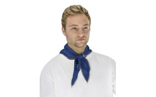 7302-01 - Thermasure Cooling Bandana Blue Style 2_CB73020X.jpg