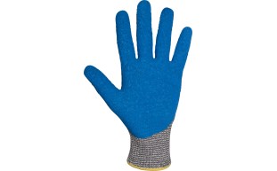 A6 Latex Palm.jpg