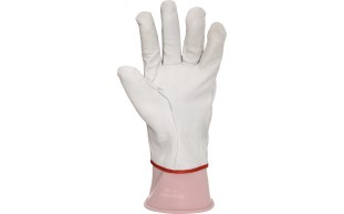 ESG Leather Over Glove Palm.jpg