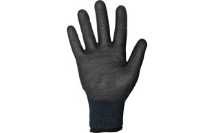 Ecodex A3 - Palm.jpg