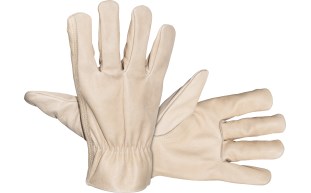 Leather Driver Glove 6526 Series 2 Hand.jpg