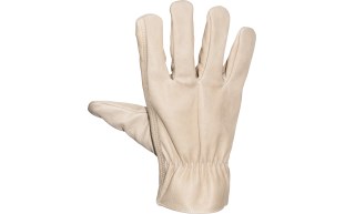 Leather Driver Glove 6526 Series Back.jpg